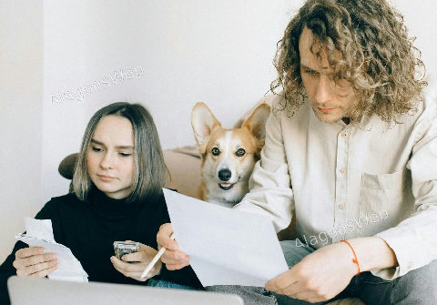Gastos com pets seguem fora do Imposto de Renda em 2026