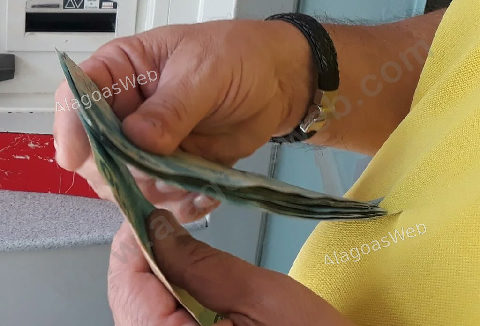 Dinheiro esquecido em bancos sobe para R$ 5,8 bilhões em agosto