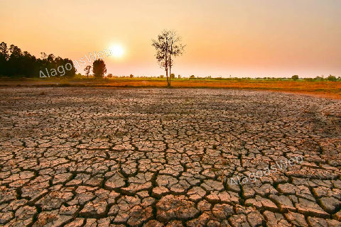 Chances do El Niño ser "muito forte" no final de 2026 chegam a 81%
