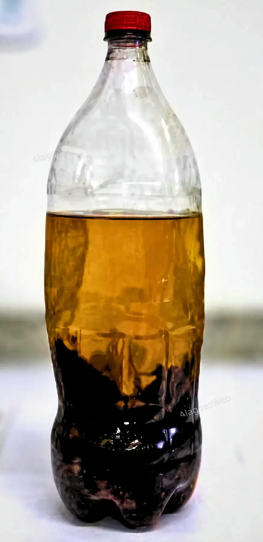 Bebida conhecida popularmente como “raiz de pau”