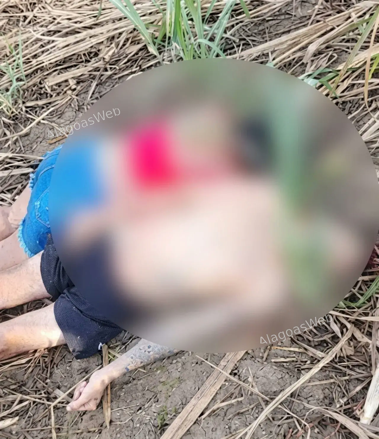 Casal é encontrado morto a tiros em canavial