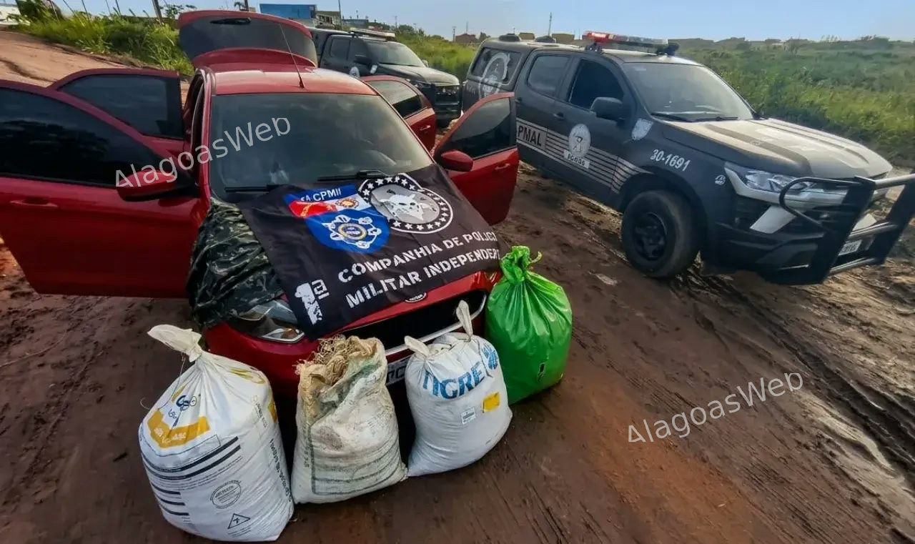 Pancada no tráfico 1ª Cia Independente apreende mais de 35 kg de maconha em São Miguel dos Campos