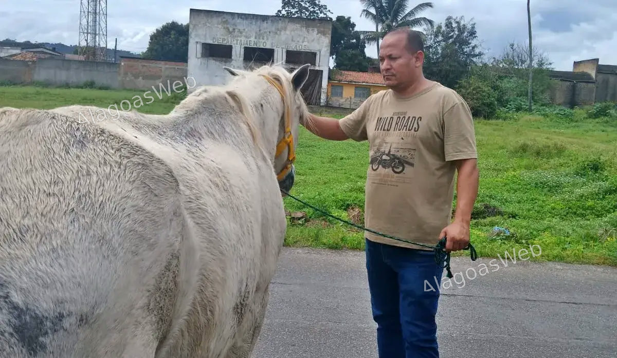Anderson Minervino acompanha os trabalhos