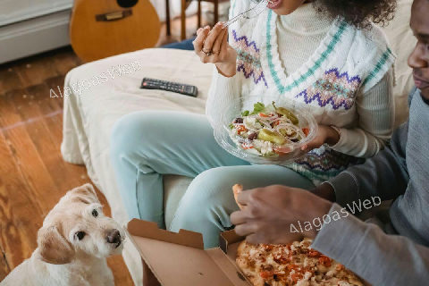 Seu pet está com fome ou apenas aprendeu a pedir comida?