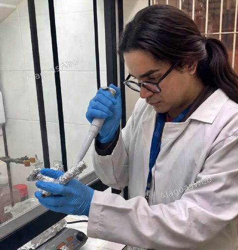 Alagoano cria equação para prever tamanho de nanopartículas de ouro