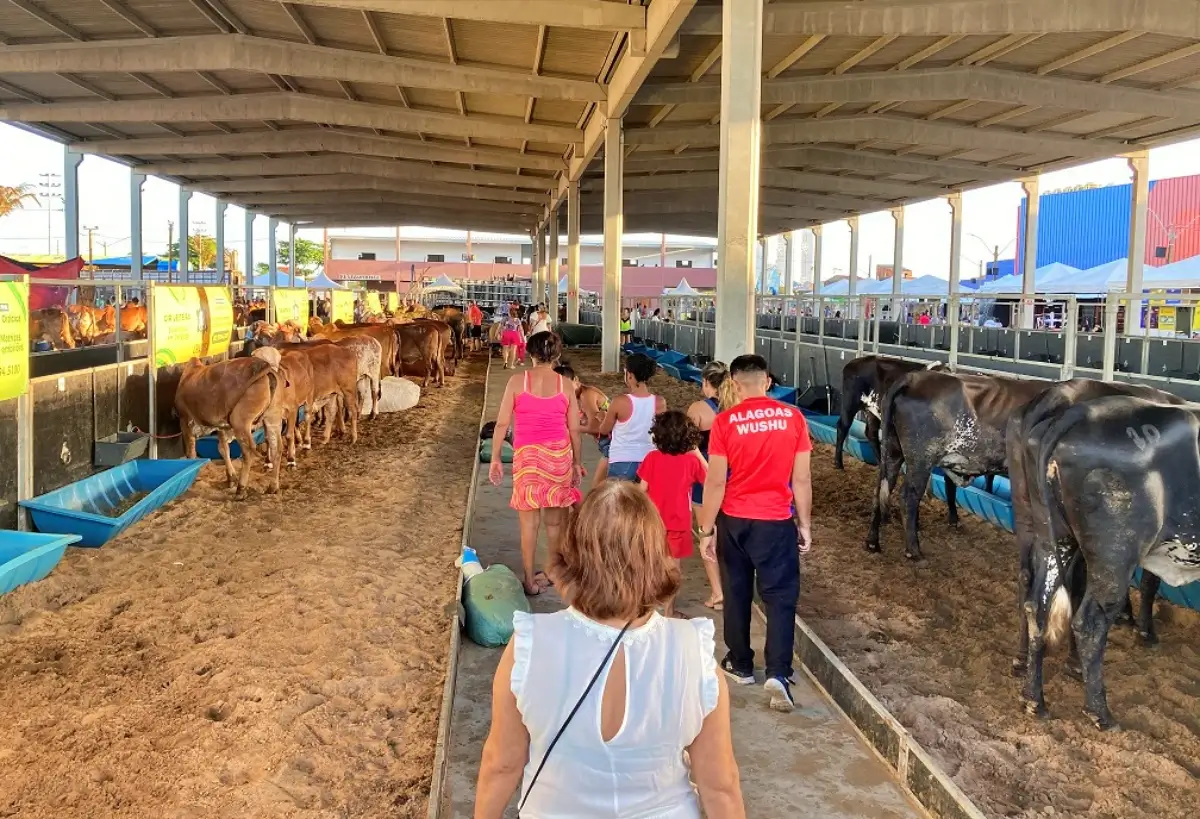 Expoagro-AL entra na reta final de preparação com expectativa de fortalecer negócios e ampliar presença de criadores de todo o país