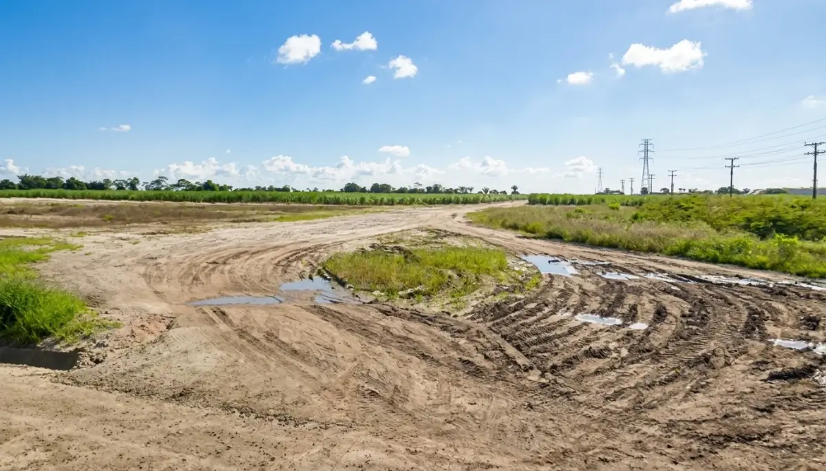 Licitação para obra de estrada que ligaria São Miguel dos Campos e Boca da Mata é suspensa
