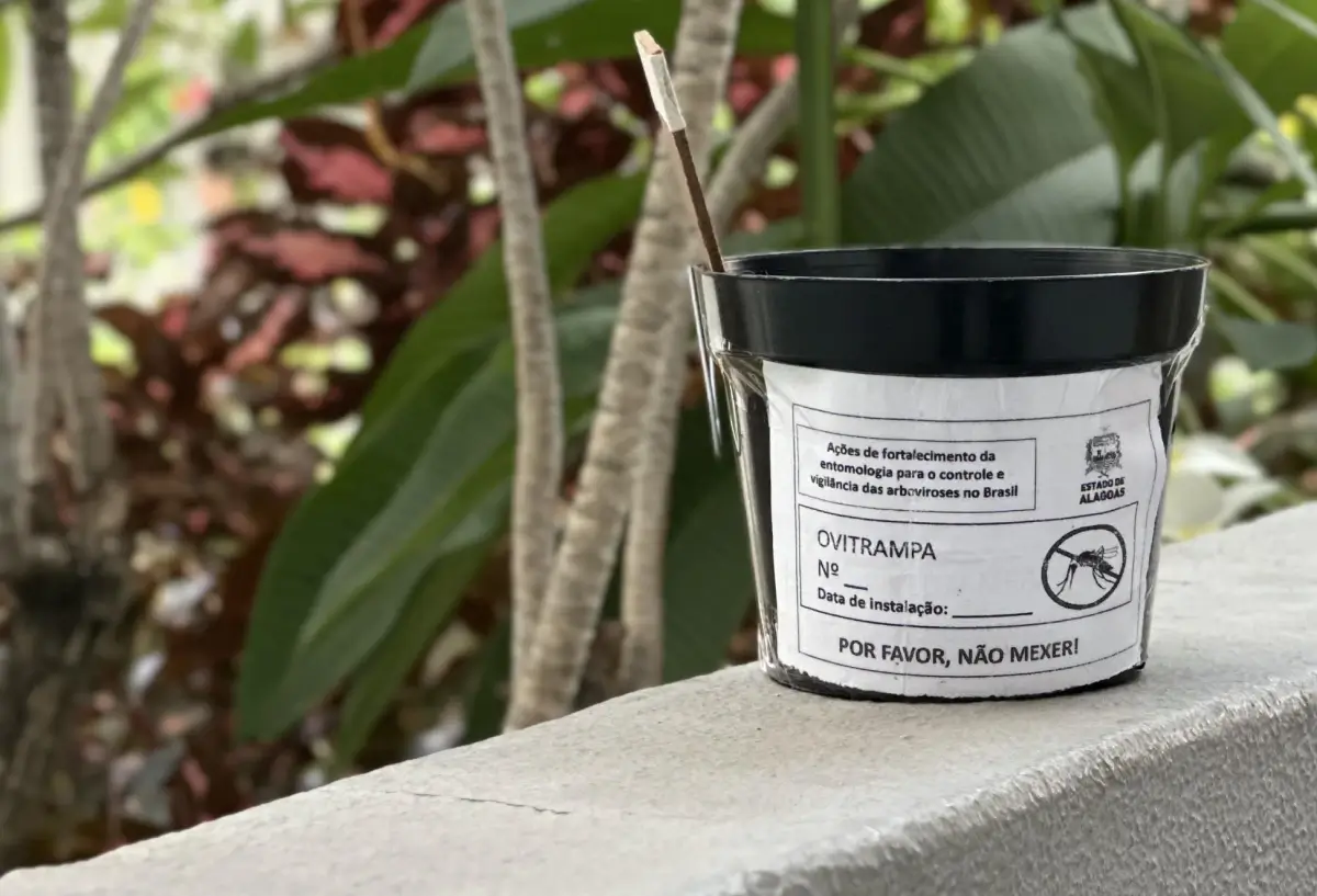 São Miguel dos Campos ganha nova tecnologia para combater mosquito da dengue
