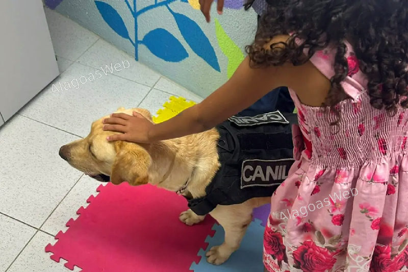 Cão de apoio emocional ajuda crianças vítimas de violência na Justiça alagoana