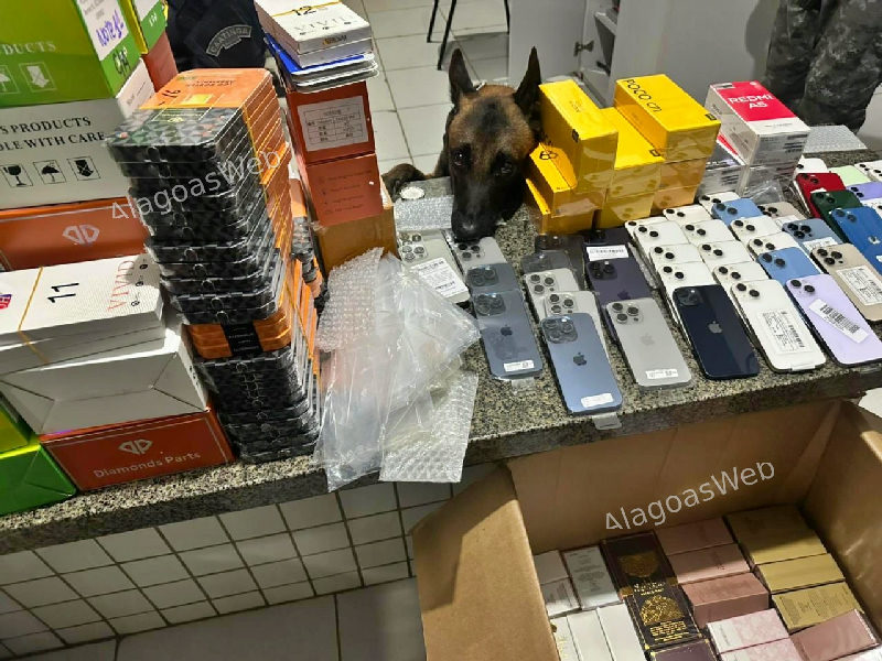 Operação apreende carga de celulares e perfumes importados na BR-101, em São Sebastião