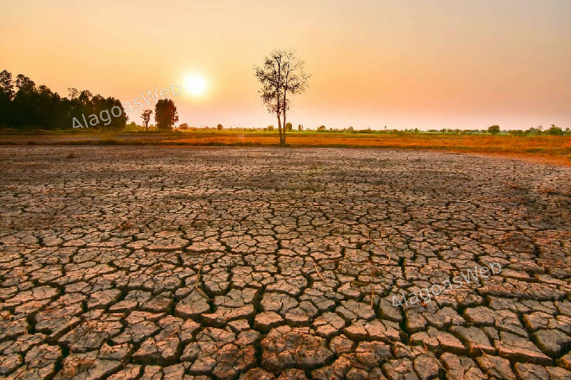 Chances do El Niño ser "muito forte" no final de 2026 chegam a 81%