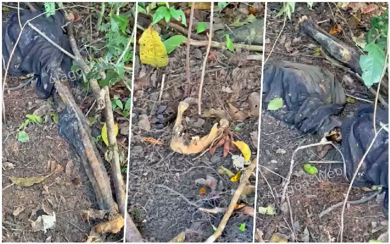 Ossada humana é encontrada na zona rural de Coruripe