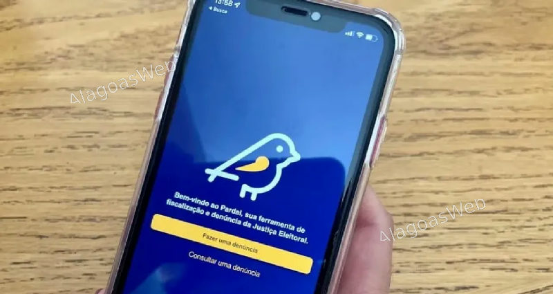 Aplicativo Pardal permite que eleitores denunciem propaganda irregular