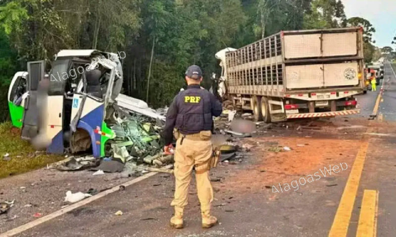 Acidente entre ônibus e carreta deixa 23 mortos na BR-373