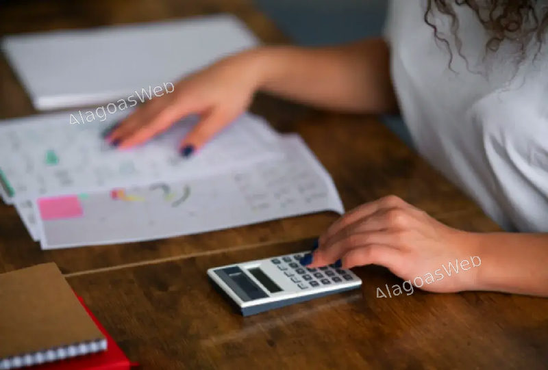 Restituição de Imposto de Renda: Como Verificar se Você Tem Direito